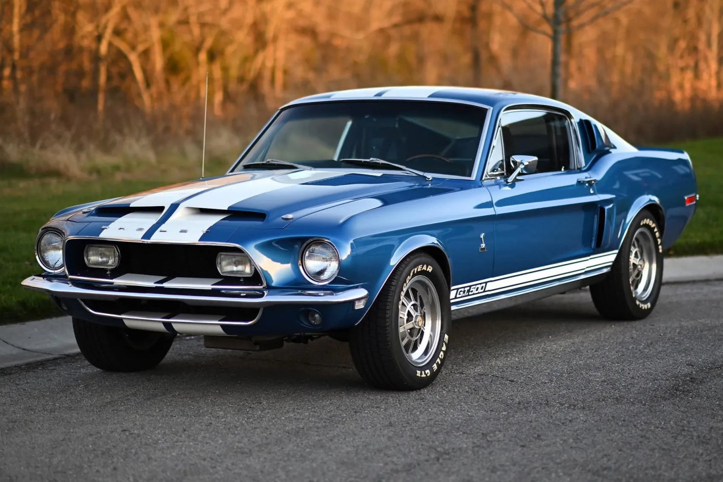 Fiberglass Body Kit Shelby 1968